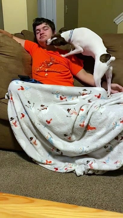 Princess cleans Noah’s face