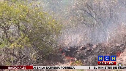 Se reporta incendio en zacatera en la Cuesta El Chile en la capital