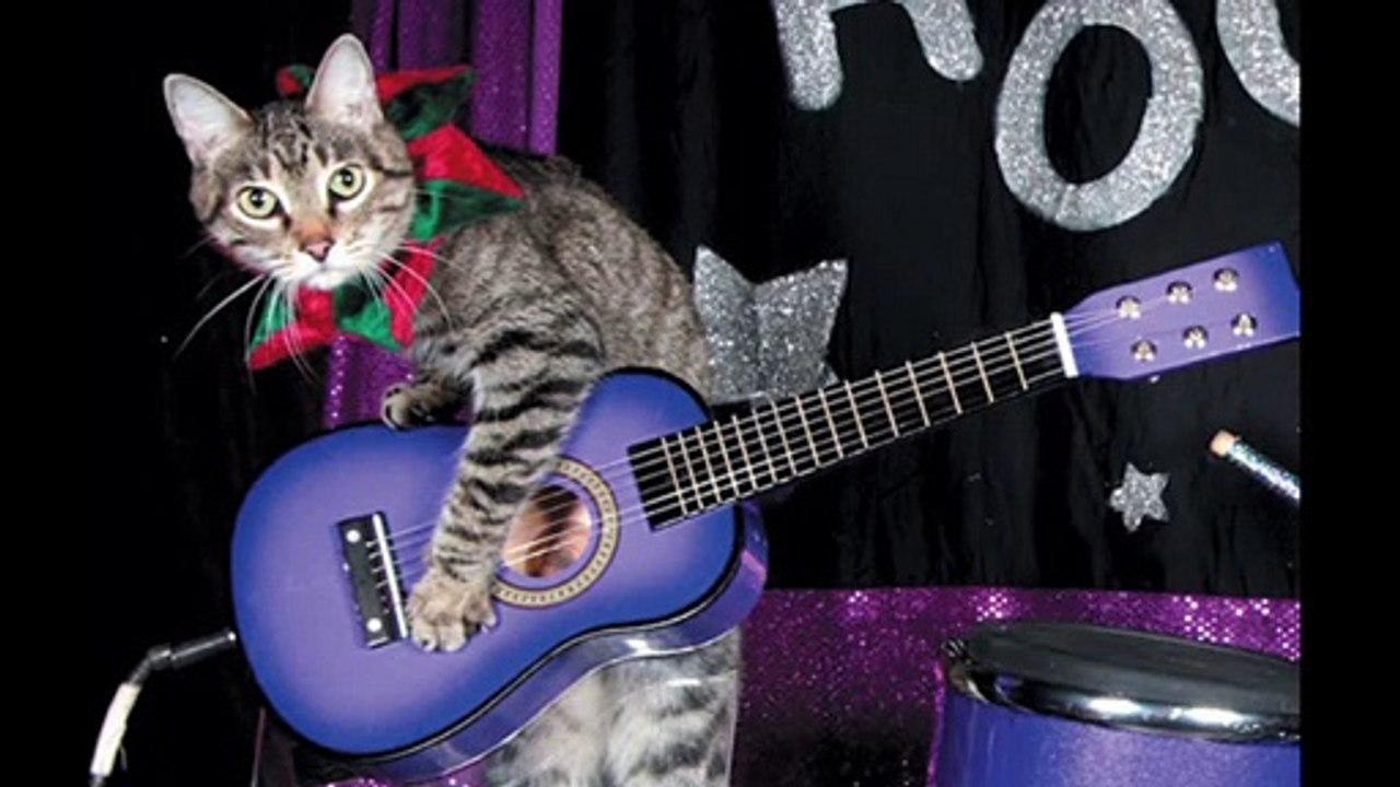 Talking to the Blues Dr. Robert Ownby The Official Blues Hall of Fame