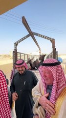 بكاء سائح أمريكي بعد هدية "رد معروف" من سعودي