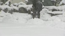 [날씨] 강원 산간 모레까지 폭설...내일 전국 곳곳 눈비 / YTN