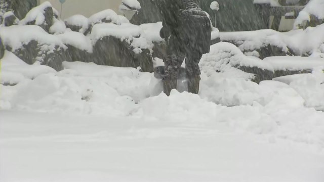 [날씨] 강원 산간 모레까지 폭설...내일 전국 곳곳 눈비 / YTN