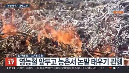 득보다 실 큰 논밭 태우기…"유익한 곤충도 죽는다"