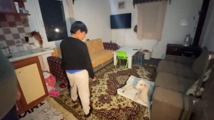 Dağda sakat doğan kuzuya 11 aydır evde "bebek gibi" bakıyorlar