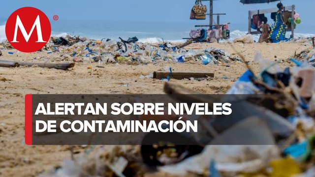 Contaminación con plásticos seguirá creciendo en océanos, revelan estudios