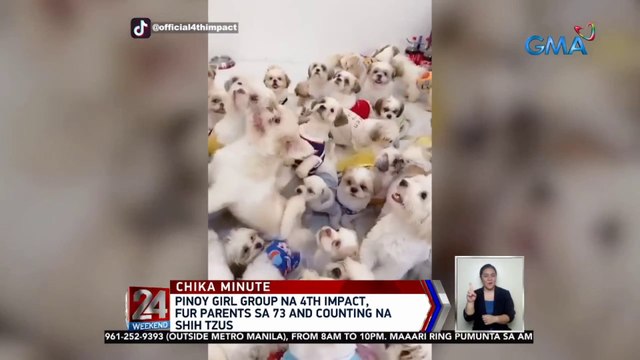 Pinoy girl group na 4th Impact, fur parets sa 73 and counting na shih tzus | 24 Oras
