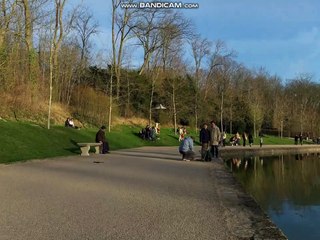 Leo's RC Simulator #8