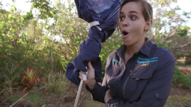 Aussie Snake Wranglers Promo - National Geographic TV Show | October 21, 2021 | ACM