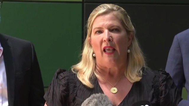 NSW minister for regional health Bronnie Taylor outside Wagga Base Hospital | December 28, 2021 | ACM