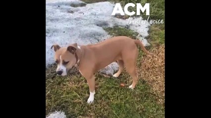 Storm lashes Portland - January 7, 2022 - The Standard