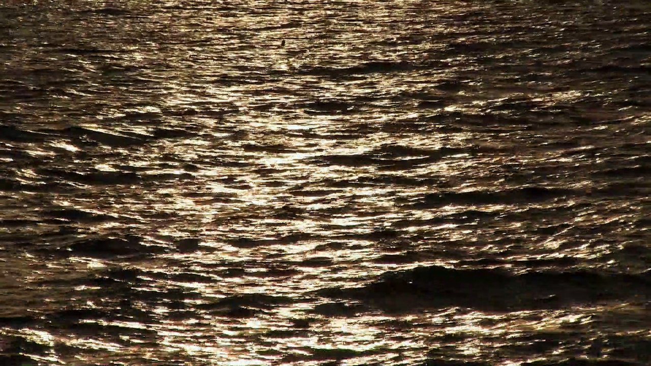 Wenn das Leben im Meer versinkt...