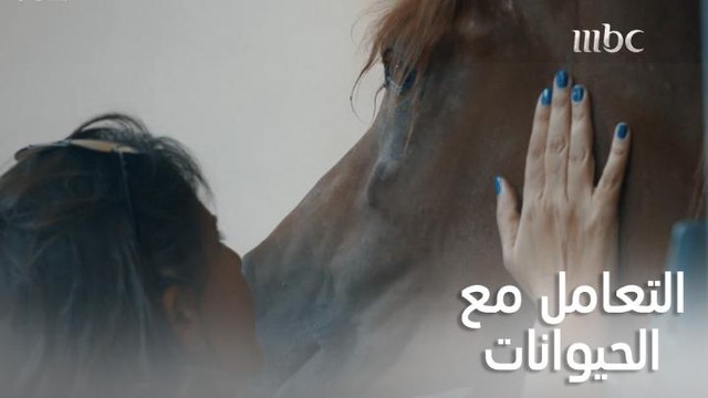 أغلب الأشخاص اللي يربون حيوانات بيتمنوا لو يقدروا يتواصوا معاهم.. أغلب الأشخاص اللي يربون حيوانات بيتمنوا لو يقدروا يتواصوا معاهم.. شاهدوا قصة إخصائية في التواصل مع الحيوانات من أين بدأت وما لديها من أسرار عن هذا العالم