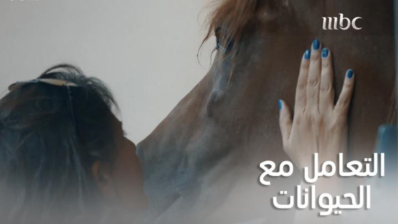 أغلب الأشخاص اللي يربون حيوانات بيتمنوا لو يقدروا يتواصوا معاهم..  أغلب الأشخاص اللي يربون حيوانات بيتمنوا لو يقدروا يتواصوا معاهم.. شاهدوا قصة إخصائية في التواصل مع الحيوانات من أين بدأت وما لديها من أسرار عن هذا العالم