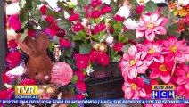 A la venta hermosos detalles para conquistar a su amor este 24 de febrero