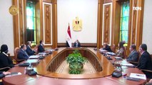 الرئيس السيسي يجتمع مع رئيس مجلس الوزراء وعدد من الوزراء والمسؤلين
