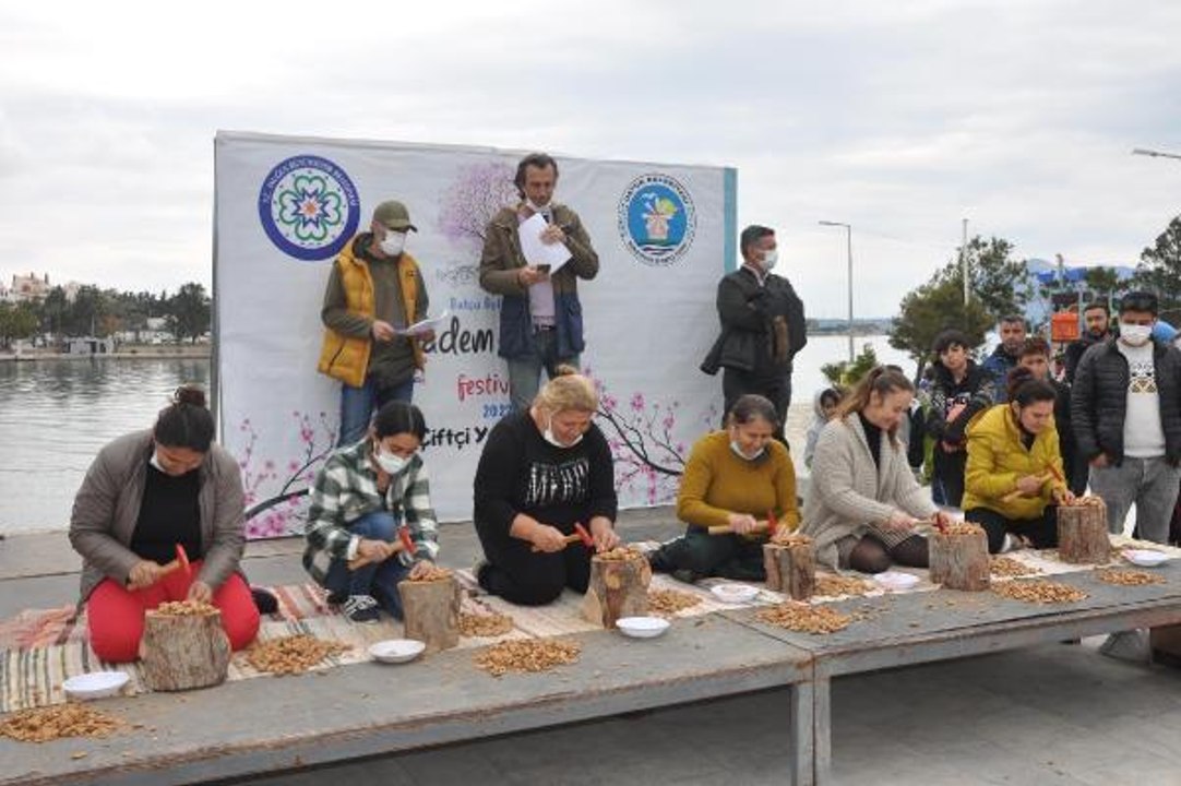 DATÇA'DA EN FAZLA BADEMİ KIRMAK İÇİN YARIŞTILAR