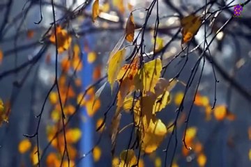 intro-logo-15-min-20220115-191139