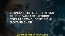 Covid-19 : Ce que l'on sait de la variante hybride « Deltacron » trouvée au Royaume-Uni
