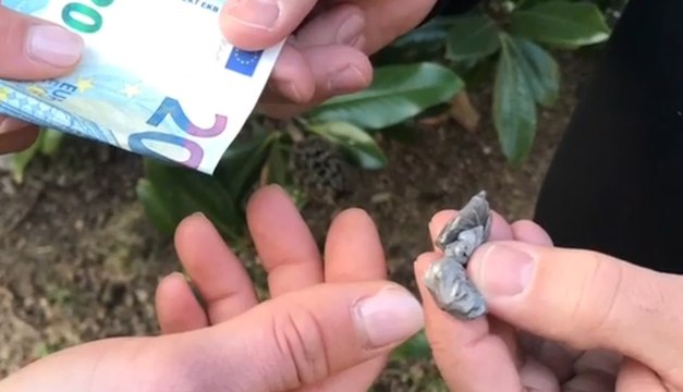 Seregno (MB) - Spaccio di droga davanti asilo nido: arrestato 16enne (13.02.22)