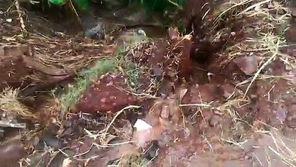 Populares reclamam da quantidade de pedras após chuvas na BR-467