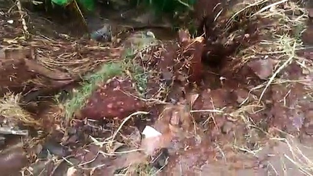 Populares reclamam da quantidade de pedras após chuvas na BR-467