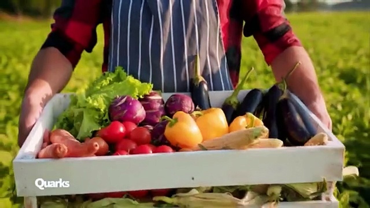 Darauf solltest du bei nahrungsergänzungsmittel achten - quarks