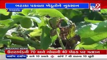 Atmospheric moisture creates worries in minds of Potato farmers, Banaskantha _ TV9News