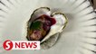 Frenchman farms heart-shaped oysters for Valentine's Day
