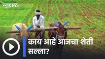 Farming Advice | काय आहे आजचा शेती सल्ला | Sakal |