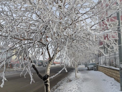 Ardahan eksi 20 derece