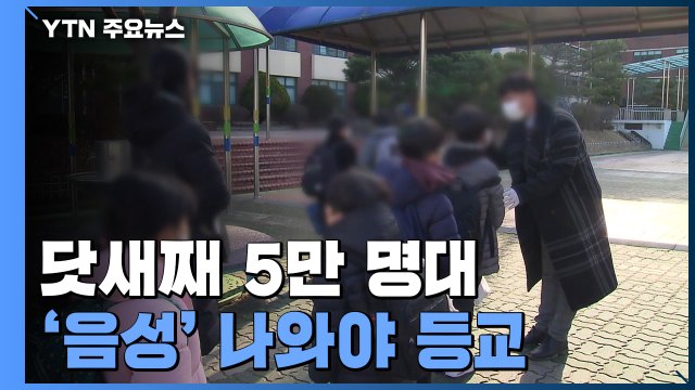 신규 환자 닷새 연속 5만 명대...학생·교직원 등교 전 신속항원검사 / YTN