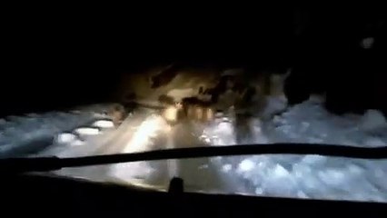 Domuz kaçtı adamlar kovaladı