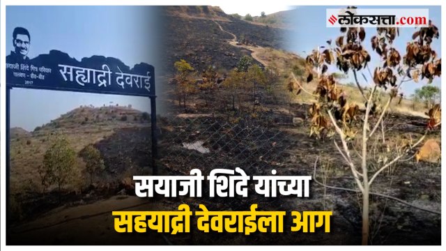 सयाजी शिंदे यांच्या संकल्पनेतून उभारलेल्या पालवन येथील सह्याद्री देवराई डोंगराला आग