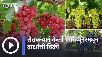 Kolhapur |  फॉर्च्युनरमधून गोल्डनमॅनची हटके द्राक्ष विक्री | Sakal |
