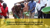 Stakeholders raise red flag over increased charcoal business amid drought in Kinango