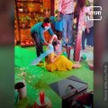 Tollywood Actress Adrija Roy Shares Video Of Bengali Serial Mou Er Bari Shooting Sequences