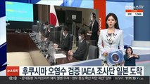 후쿠시마 오염수 검증 IAEA 조사단 일본 도착