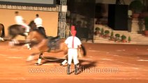 Sturdy horses and skilled horsemen of Rashtrapati Bhawan