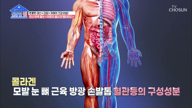 ‘콜라겐’이 부족하면 생기는 우리 몸의 변화는? TV CHOSUN 20220214 방송