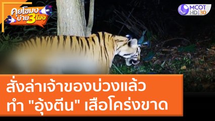 สั่งล่าเจ้าของบ่วงแล้ว ทำ "อุ้งตีน" เสือโคร่งขาด (14 ก.พ. 65) คุยโขมงบ่าย 3 โมง