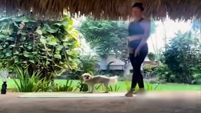 BUKAN SETTINGAN | KEJADIAN KONYOL LUCU TAK TERDUGA TEREKAM CCTV DAN KAMERA