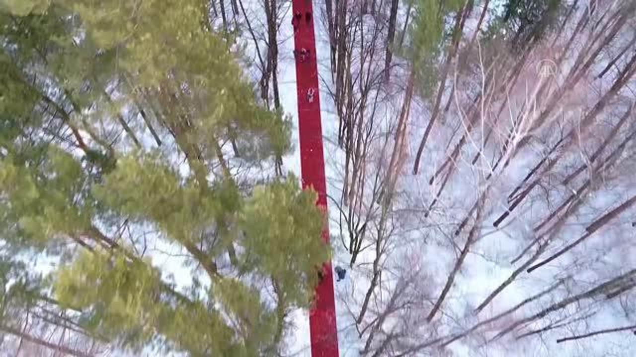 Rus sanatçının karla kaplı ormandaki kırmızı halı sergisi