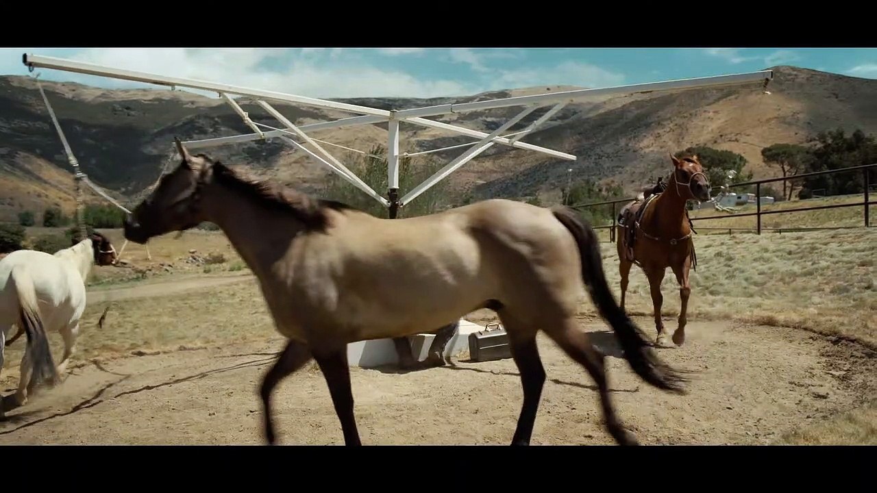 HAYIR Film