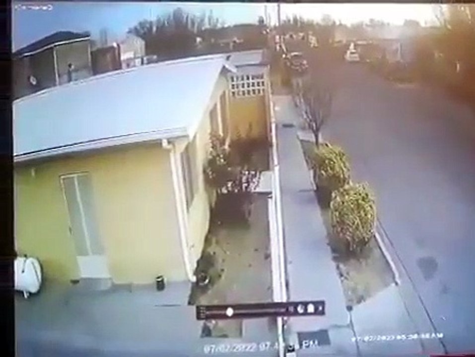 Des centaines d'oiseaux migrateurs meurent d'un coup au Mexique