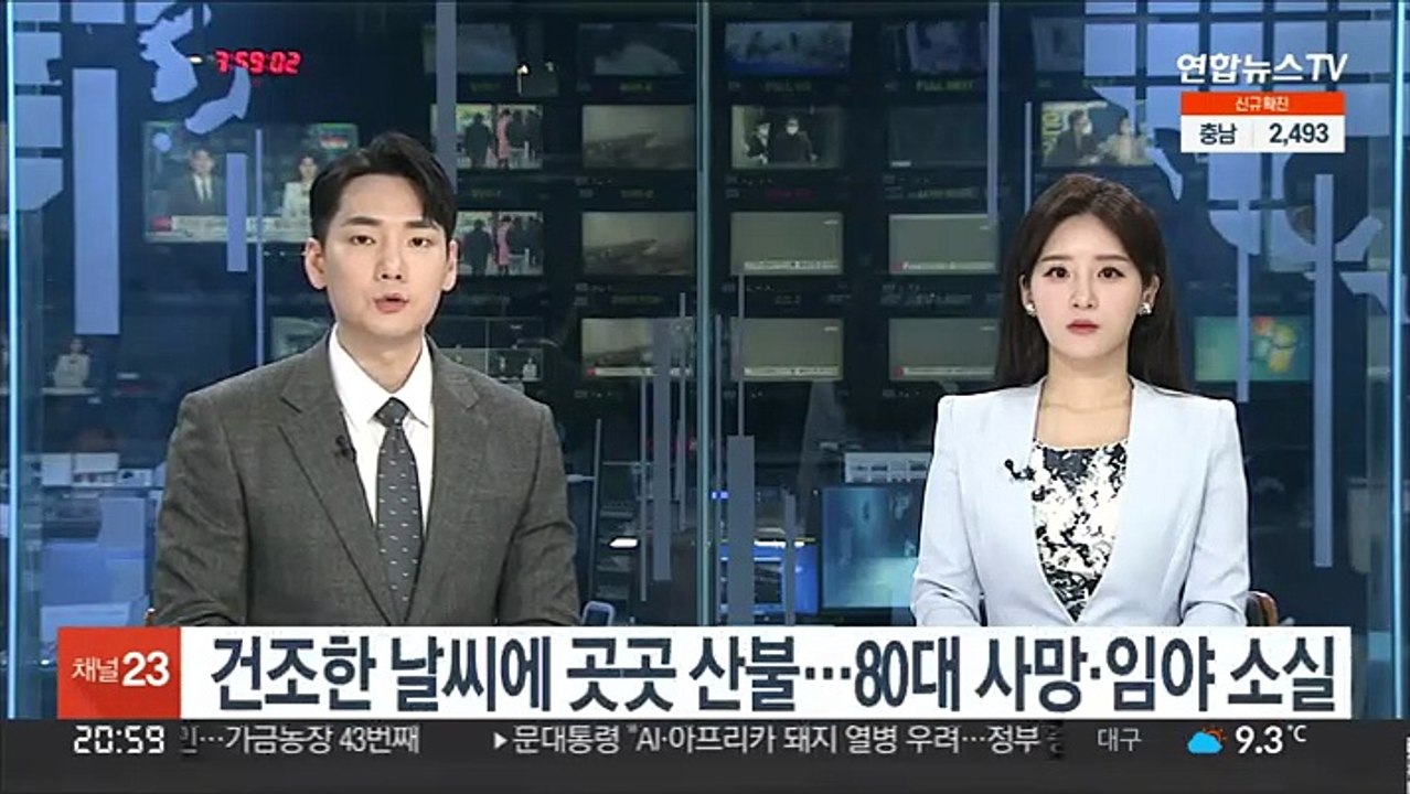 건조한 날씨에 곳곳 산불…80대 사망·임야 소실