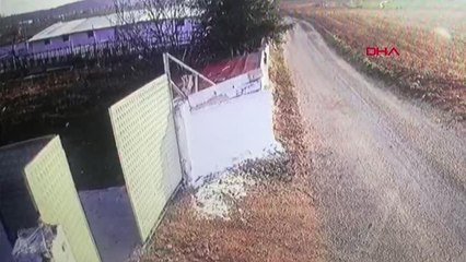 KÖPEĞİN ISIRDIĞI ÖĞRETMEN, DEMİR KAPI VE DUVARA TIRMANARAK KURTULDU