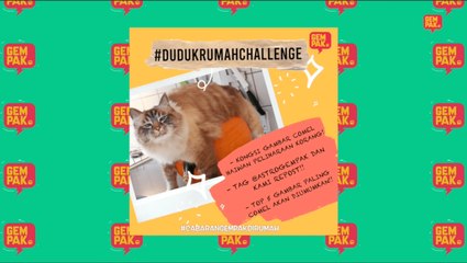 #DudukRumahChallenge - Top 5 Haiwan Peliharaan Paling Comel