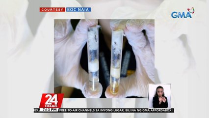 375 black ants mula Poland, tinangkang ipuslit sa Pilipinas | 24 Oras