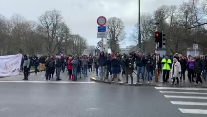Convoi des Libertés à Paris: des manifestants arrivent au parc du Cinquantenaire