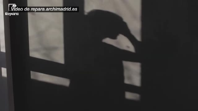 El cardenal Osoro se suma a quienes exigen una investigación de los abusos